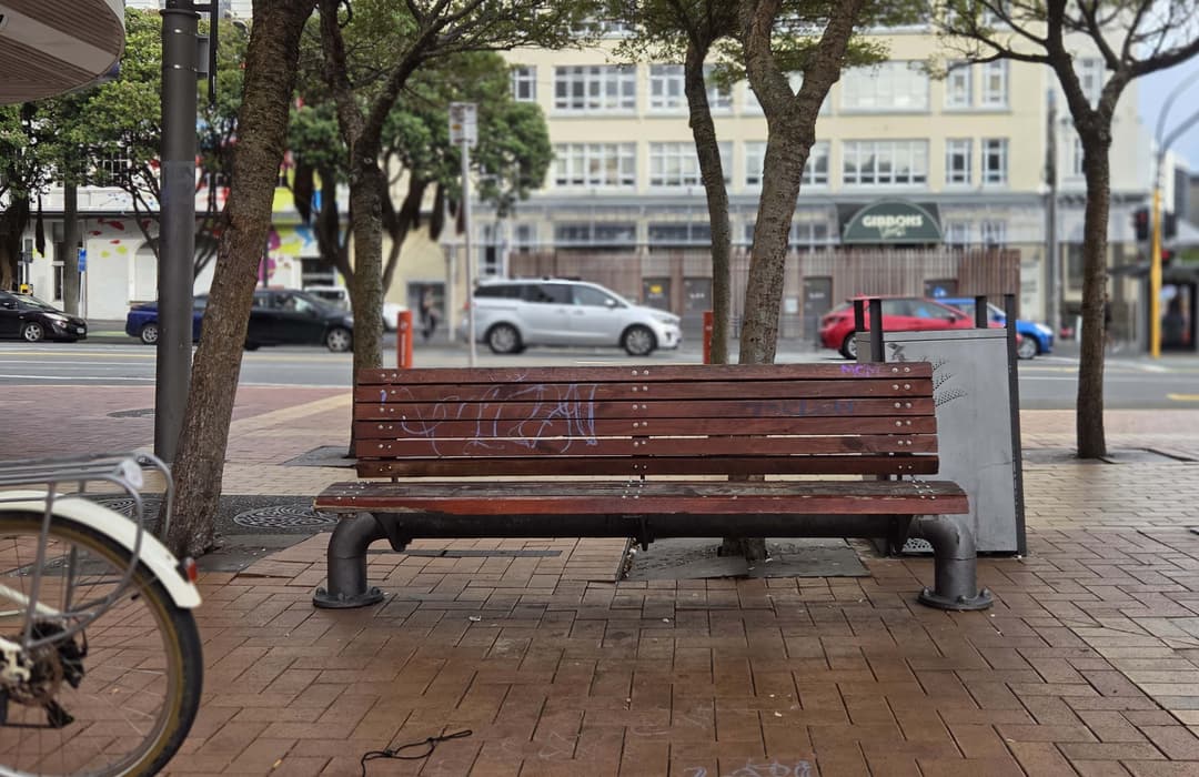 Image of an empty park bench with trees around it and cars in the background